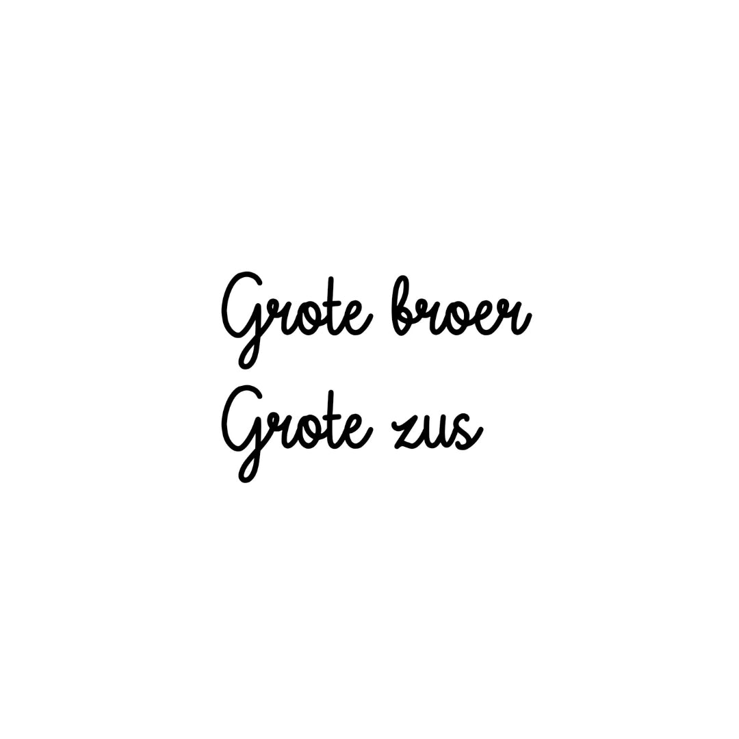 Strijkapplicatie - grote broer/zus
