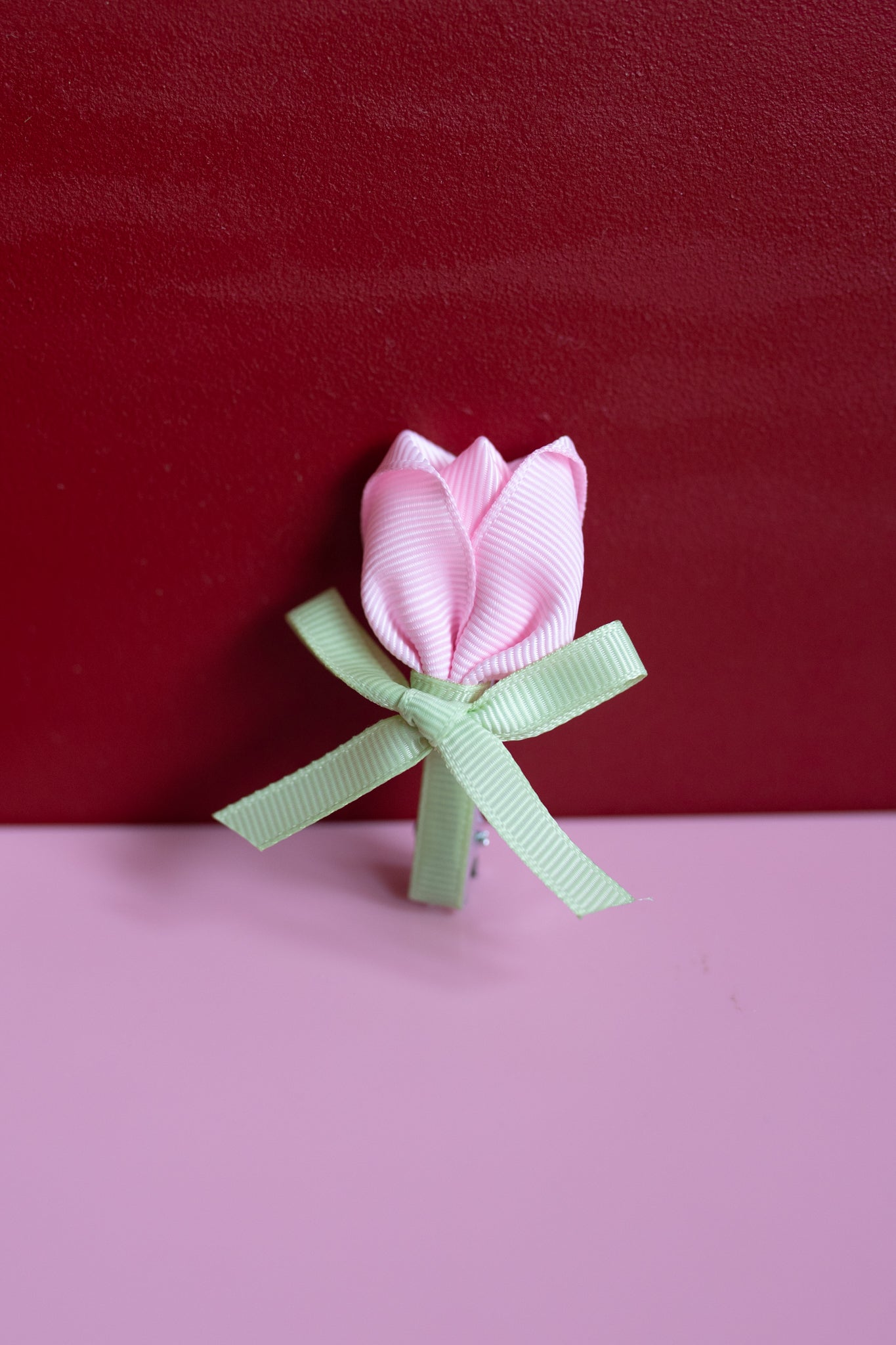 Alligator - tulp