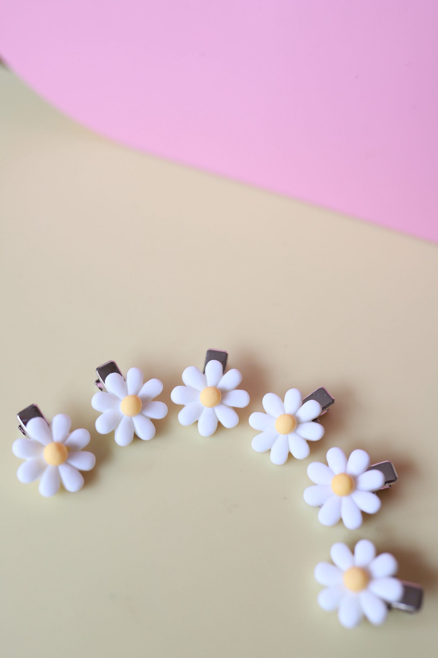 Alligator - madeliefjes