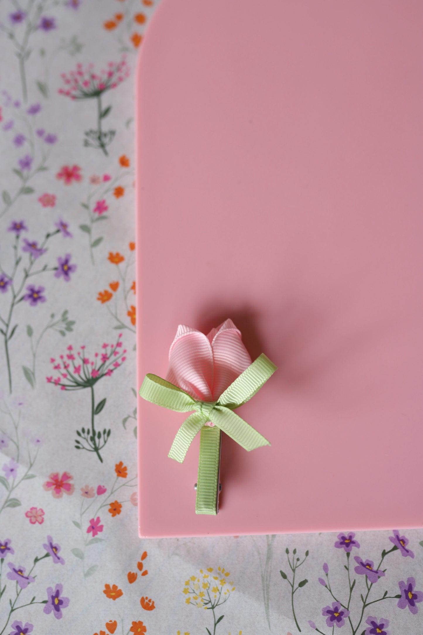 Alligator - tulp roze