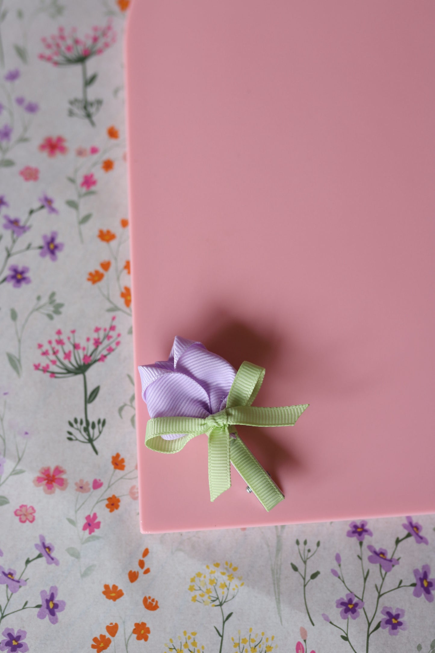 Alligator - tulp lila